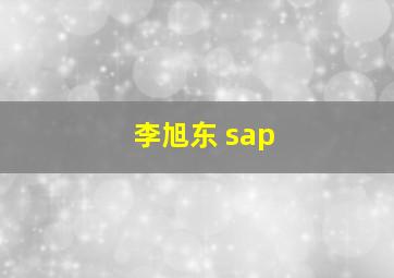 李旭东 sap